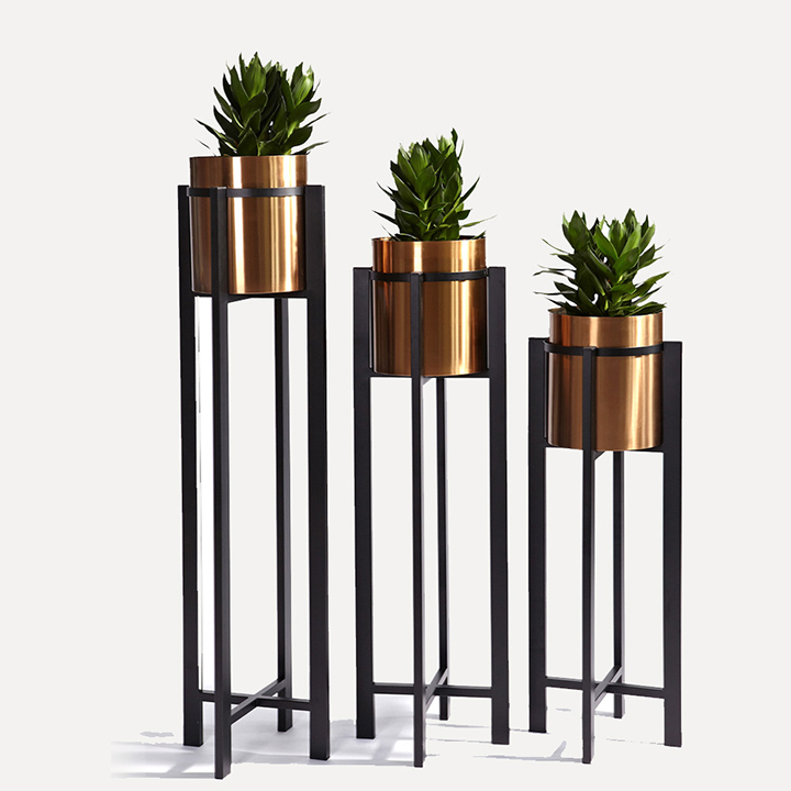 V3VPutT Golden Accessories - Image 1