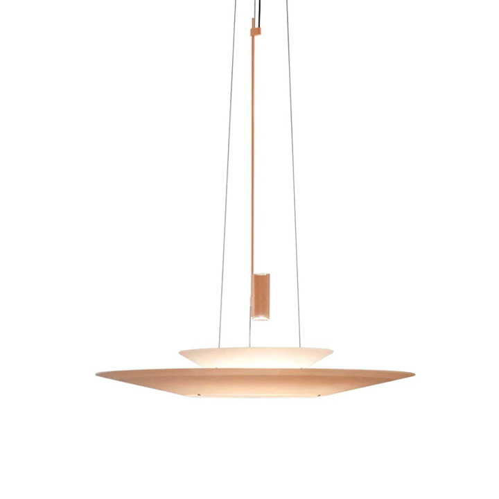 B1P5175C.jpg Pigeon C - Image 1