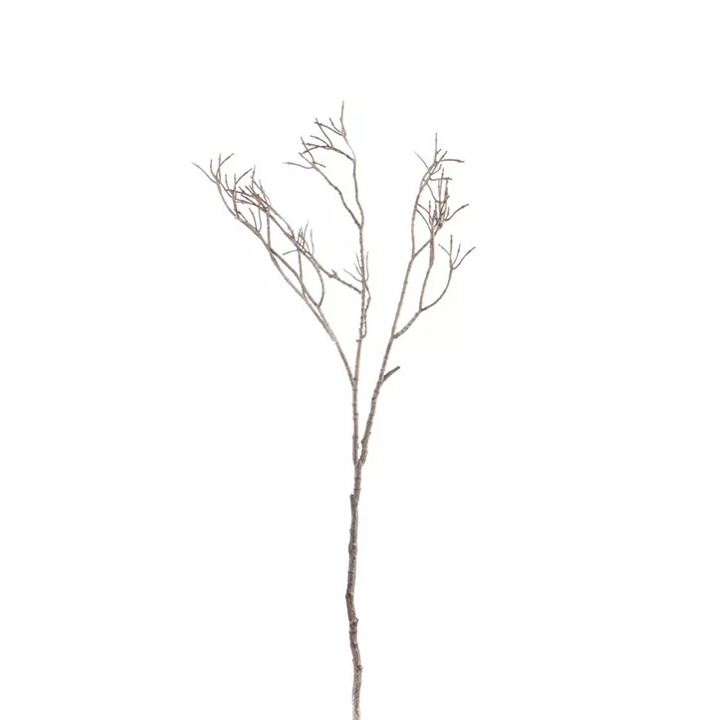 C3AF0086A.jpg Sten Amber - Image 1