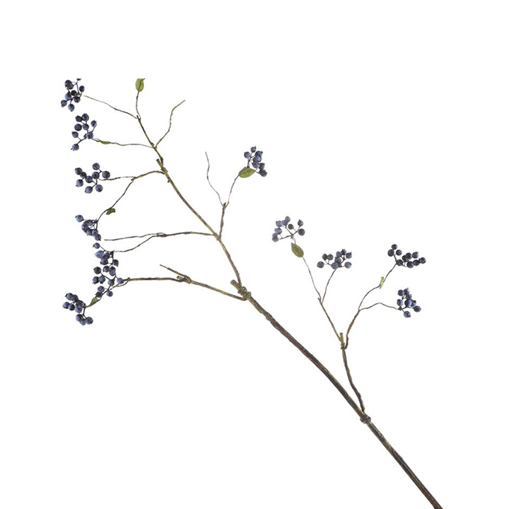 C3AF0095BL.jpg Temps - Image 1