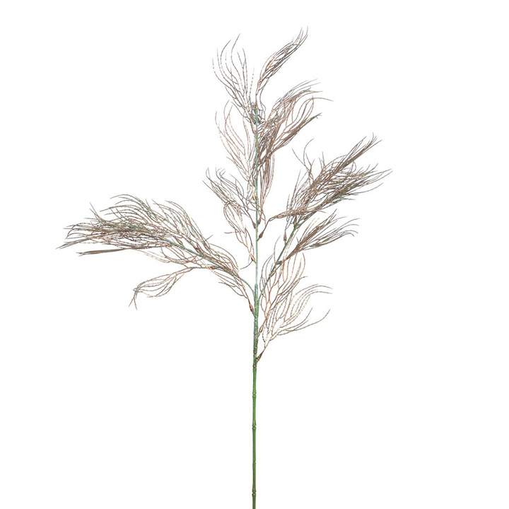 C3AF3636L.jpg Cotton - Image 1