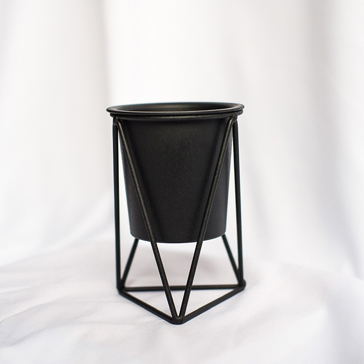 FLOrXGW.jpg Hyssop - Image 1